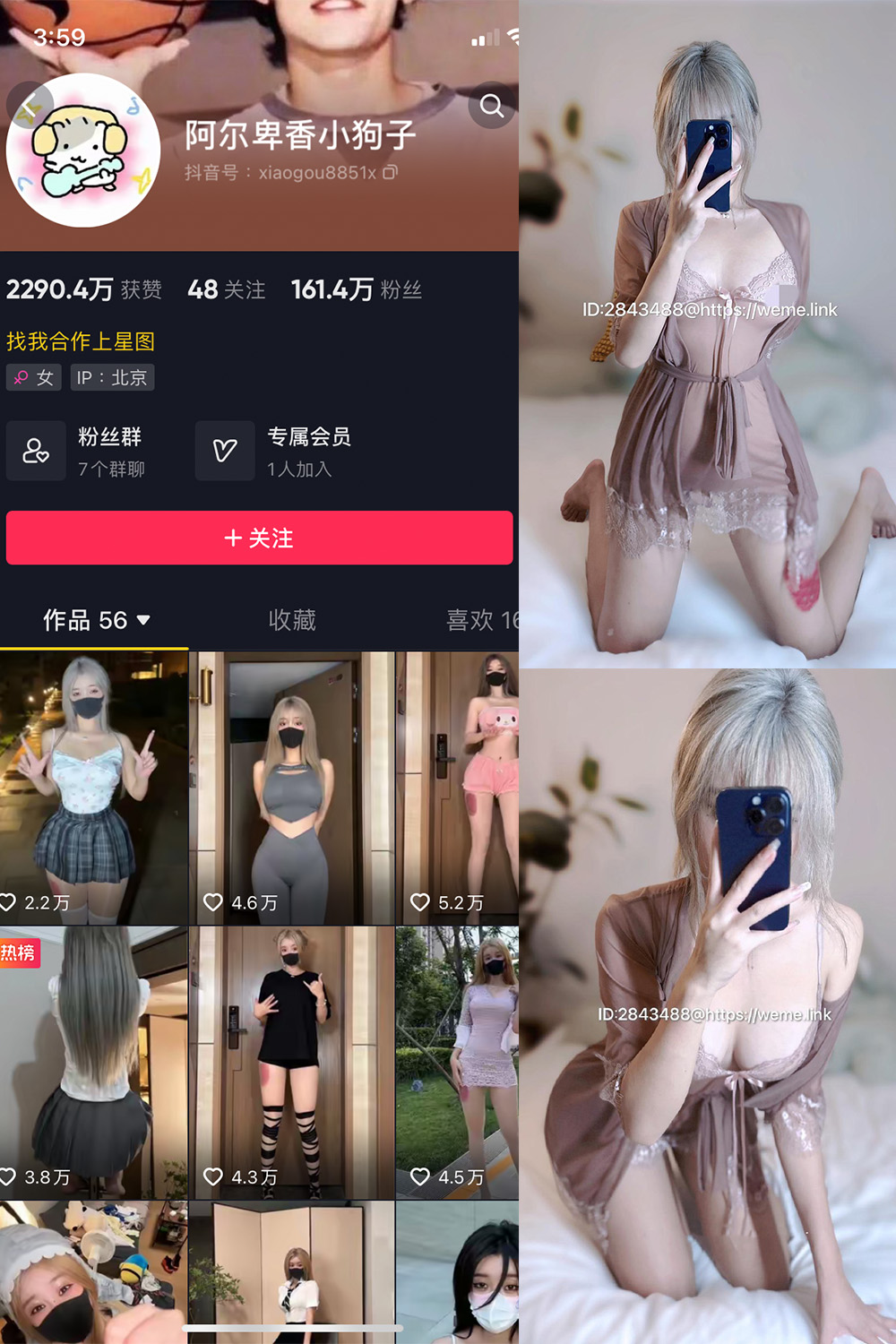 抖音 阿尔卑香小狗子 微密圈  NO.045期 【39P】最新至：2026.6.9-雪莲