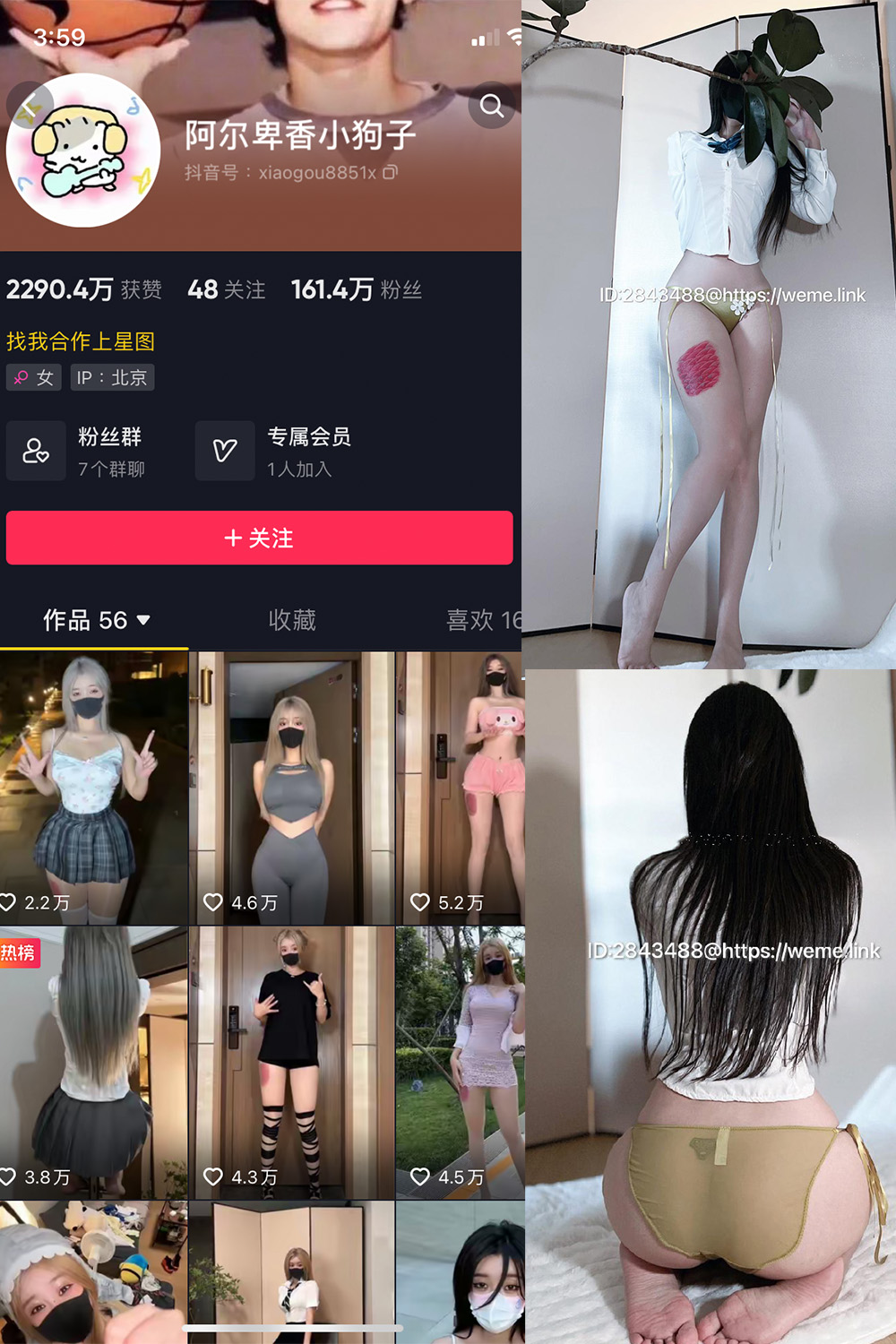 抖音 阿尔卑香小狗子 微密圈  NO.047期 【39P】最新至：2024.6.10-雪莲