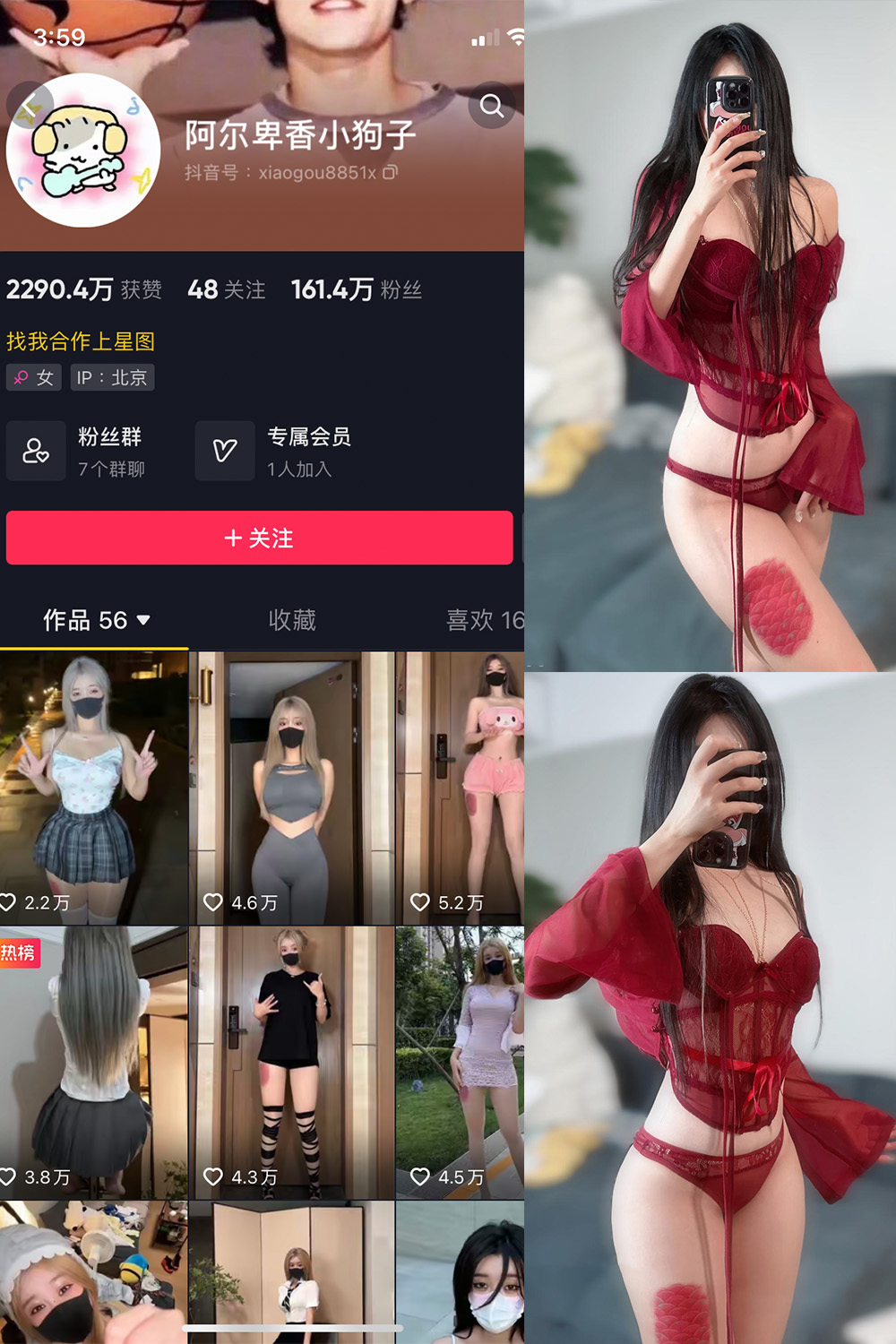 抖音 阿尔卑香小狗子 微密圈  NO.056期 【10P2V】最新至：2024.8.25-雪莲